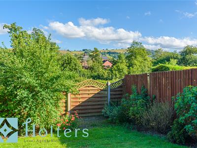 Picture 22